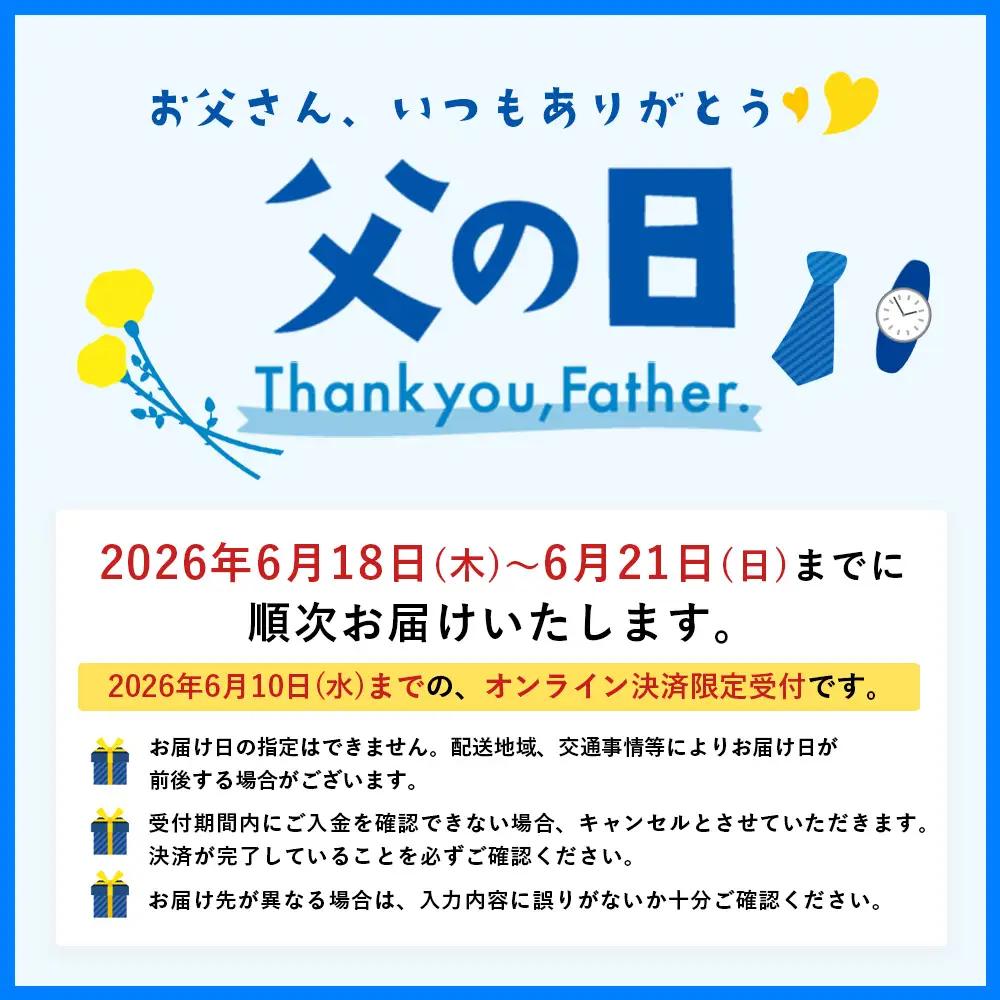 【父の日ギフトに】SunSunALE　12本セット HF-7-FA｜父の日 クラフトビール ビール 酒 柑橘 希少 限定 手作り はちみつ 人気 詰め合わせ ギフト香り 呑み 晩酌 贈り物 330ml