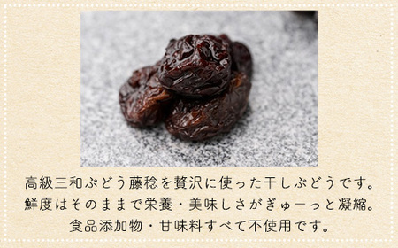 京都三和・丹波ぶどう＜藤稔＞ほしぶどう（ドライ）　100g　1パック ふるさと納税 ドライフルーツ ほしぶどう 干しブドウ レーズン ドライレーズン 三和ぶどう ふじみのり 藤稔 100g 手作り 三