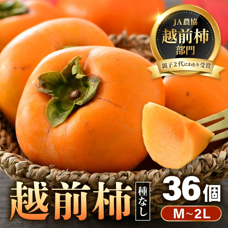 【ふるさと納税】【先行予約】越前柿 36個入 約6kg（M～2L）≪JA受賞歴親子2代≫ ／ 果物 フルーツ 柿 産地直送 期間限定 ※2026年11月上旬より順次発送