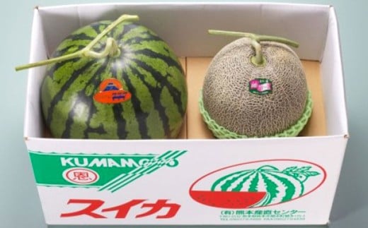 熊本県産 大玉スイカ1玉と肥後グリーンメロン1玉 合計2玉 【2026年5月上旬発送開始】 果物 フルーツ 大玉 スイカ 大玉スイカ 青肉 メロン 肥後グリーンメロン
