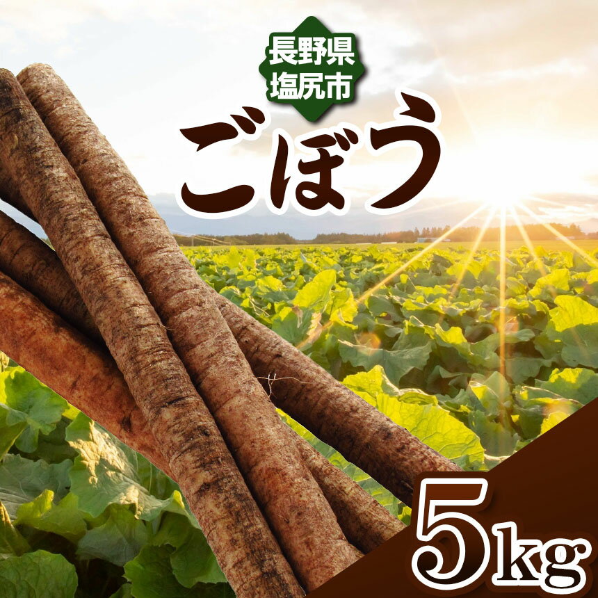 【ふるさと納税】【格別の品質と味！】ごぼう 約 5kg ≪風味豊かな味わい≫ | 野菜 やさい 根菜 ごぼう ゴボウ 健康 食物繊維 長野県 塩尻市