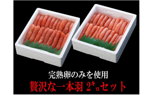 【極上1本物!!豪華食べ比べ】たらこ1.0kg（1本物）・明太子1.0kg（1本物） ふるさと納税 魚卵 F4F-0501