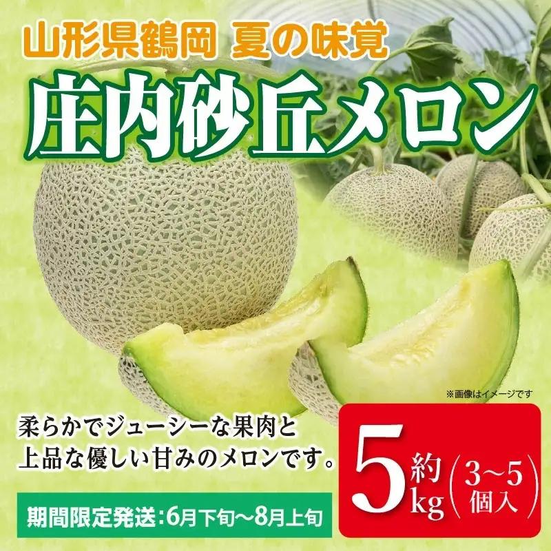 【令和8年産】庄内砂丘メロン 約5kg（3～5個入り）アンデスメロン サンエイファーム　| メロン めろん 5キロ フルーツ 果物 くだもの 夏 旬 デザート 産地直送 山形 鶴岡 庄内 庄内産 東北 人気 おすすめ 美味しい 贈答 国産 お取り寄せ 返礼品