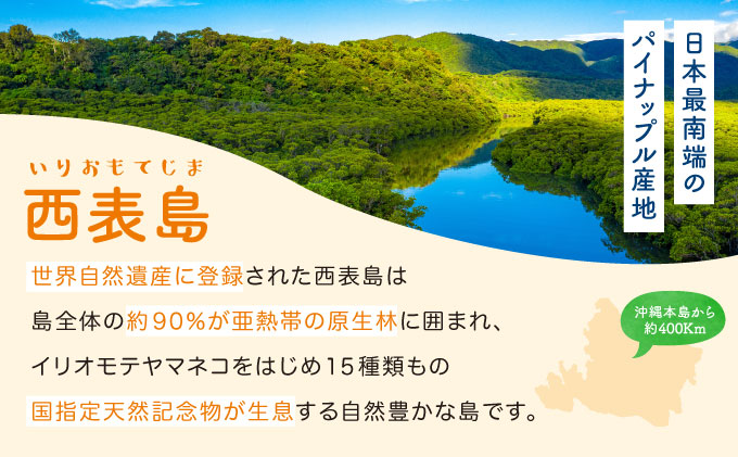 【訳あり】☆新感覚の味わい☆ 桃のような芳醇な香りのする『西表島産 完熟ピーチパイン』４kg