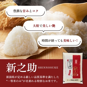 【4月下旬より配送】上越市産 新潟 新之助 5kg 6か月定期便 しんのすけ お米 精米 米 ご飯 定期