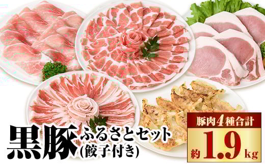 
            B02080 黒豚ふるさとセット(合計約約1.9kg)黒豚餃子(12個入)付き  鹿児島 国産 九州産 黒豚 豚肉 お肉 バラ 肩ロース ロース モモ スライス 餃子 ぎょうざ 焼肉 しゃぶしゃぶ すきやき おかず 惣菜【和田養豚】
          