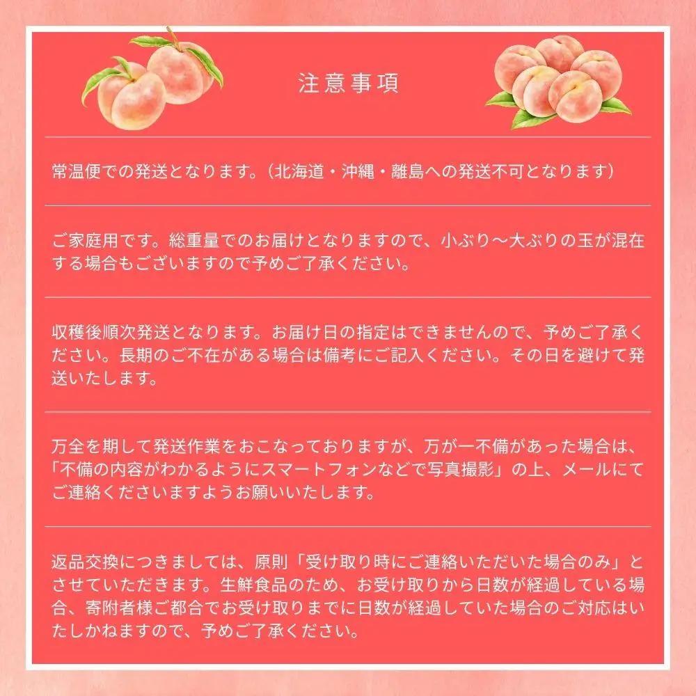 【2026年先行予約】［なんばふぁーむ］岡山県産 黄金桃 2.0kg（5～9玉）［ご家庭用］桃 もも モモ おうごんとう フルーツ 果物 朝採り旬 岡山県産 産地直送 産直 送料無料 鏡野町