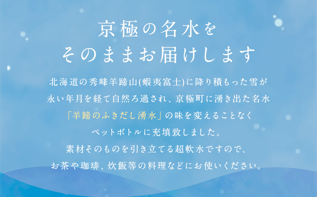【3回定期便】羊蹄のふきだし湧水 「京極の名水」 2L×12本 （1ケース）