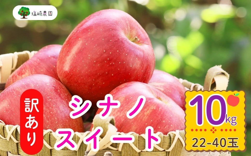 
            【先行予約】【訳あり】シナノスイート【約10kg(22〜40玉)】規格外(7-A27-3)
          