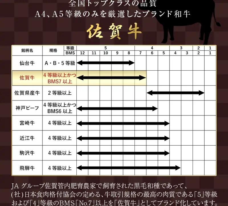 佐賀牛 サーロインステーキ 300g×3枚(合計900g) ステーキ