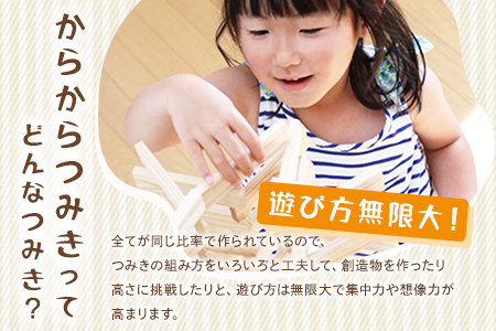 ＜コロカラつみき＆からからつみき3種類クリエイティブセット252P＞【B-1710-bo】【boofoowoo】