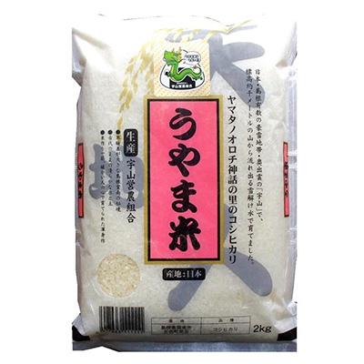 ふるさと納税 雲南市 令和7年産・神話の里/島根県雲南市吉田町「うやま米」コシヒカリ10kg(2kg×5)