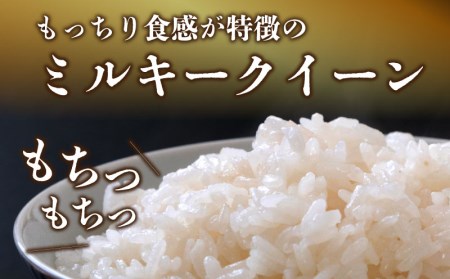 ミルキークイーン10kg（5kg×2袋）＜都留市産＞【令和５年産】