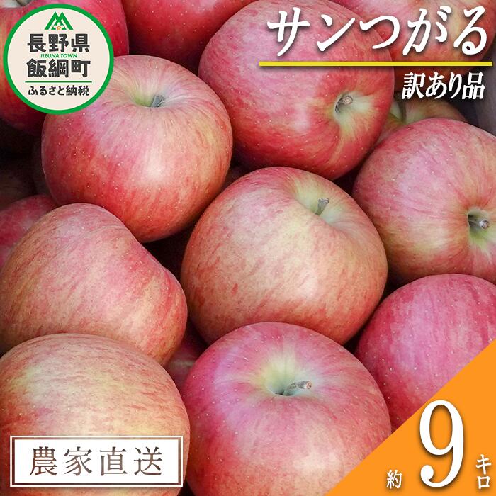 【ふるさと納税】 りんご サンつがる 訳あり 9kg 松橋りんご園 沖縄県への配送不可 令和7年度収穫分 長野県 飯綱町 〔 傷 不揃い わけあり 信州 果物 フルーツ リンゴ 林檎 長野 18000円 予約 農家直送 〕発送時期：2025年9月上旬〜2025年9月中旬 {*}