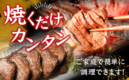 【定期便 2回】牛タン 500g 国産牛タン 500g×2ヶ月定期便 (計1kg) さとう精肉店 黒タン sm00010-2 塩竈市