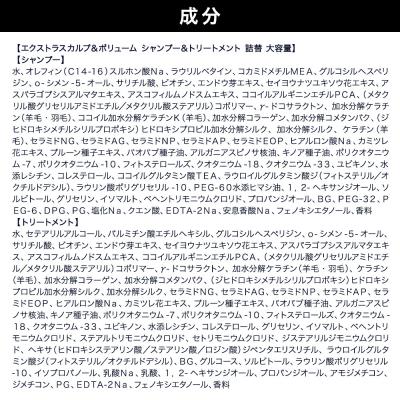 ふるさと納税 滑川町 ダイアン エクストラスカルプ&ボリューム シャンプー+トリートメント詰替|19_ntl-230201 |  | 01