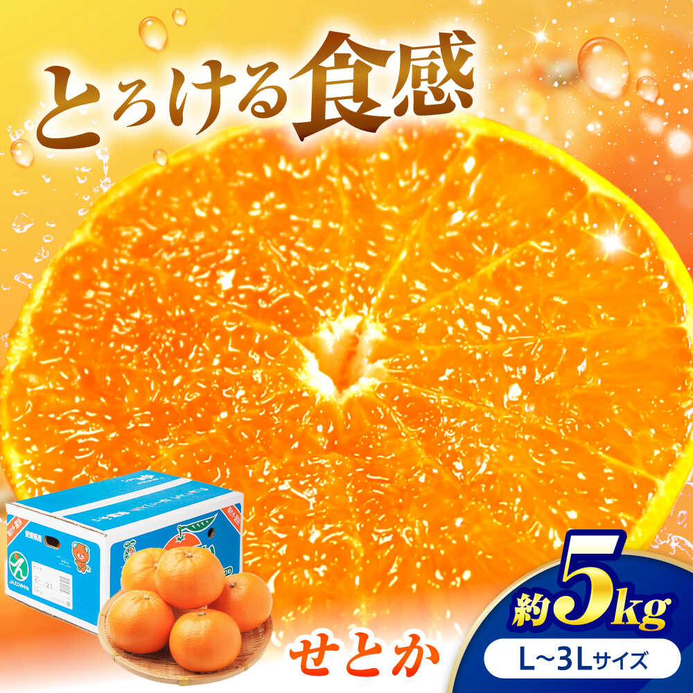 【ふるさと納税】せとか L-3Lサイズ 約5kg 【2月中旬から3月中旬まで順次発送】 / フルーツ 果物 蜜柑 ミカン オレンジ 甘い 先行予約 5kg 愛媛 果汁 果実 フルーツギフト 果肉 柑橘 かんきつ 人気 おすすめ / 愛媛県砥部町/株式会社フジ・アグリフーズ[BJBI007]