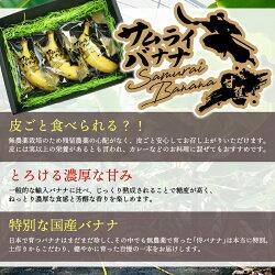 【冷凍フルーツ】高知県産 侍バナナ｜無農薬・国産・農家直送 手のひらサイズ 1kg バナナ フルーツ 果物 冷凍フルーツ バナナ サムライ スムージー ふるさと納税 冷凍バナナ 1kg（￥50,000