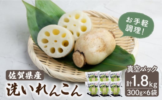 【年内発送】洗いれんこん 真空パック入り 300g×6袋（計1.8kg）【有限会社マルハ園芸】レンコン 蓮根 野菜 根菜 [ICC003]