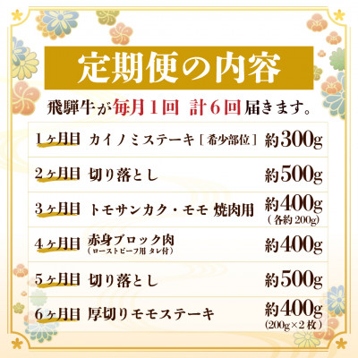 【毎月定期便】飛騨牛 少なめ定期便 計2.5kg 全6回 ステーキ、切り落とし、焼肉、赤身ブロック肉【配送不可地域：離島】