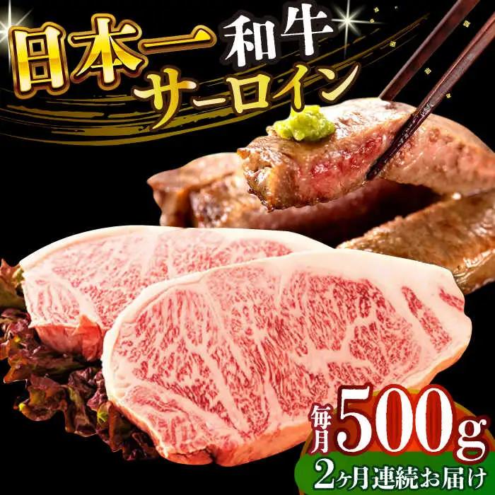 【2回定期便】A4-A5 長崎和牛 サーロインステーキ (250g×2)   和牛サーロインステーキ [DBS085] 牛肉 焼肉 ステーキ 