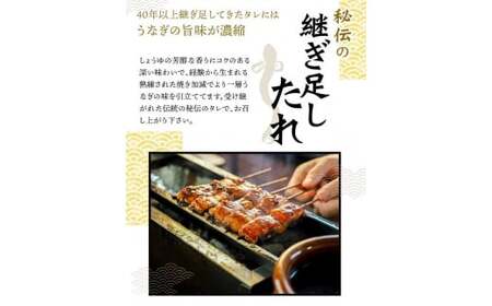 【3回定期便】贅沢定期便C まぐろ うなぎ 和牛【tkb388】