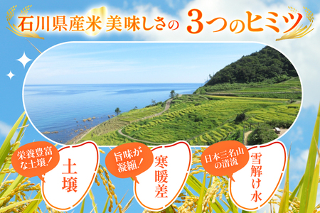 米 定期便 能登米 こしひかり 5kg ×12回 総計60kg [中橋商事 石川県 宝達志水町 38600792] コシヒカリ お米 コメ 6ヶ月 6か月 白米 精米 hurusatonouzei お
