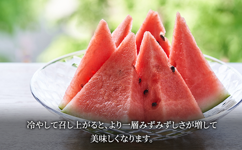 北海道 富良野産 ヒグマのごちそう(すいか)[1玉 5L以上 9kg以上/玉] すいか フルーツ 果物 新鮮 甘い 贈り物 ギフト 道産 ジューシー おやつ ふらの ブランド 夏