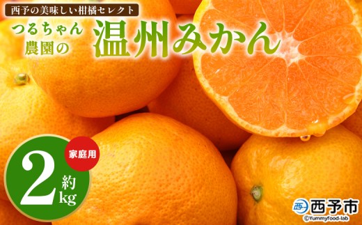 ＜西予の美味しい柑橘セレクト（ご家庭用）／つるちゃん農園のみかん（約2kg）＞ 果物 くだもの フルーツ 蜜柑 みかん ミカン 柑橘 ご家庭用 温州みかん 食べて応援 国産 愛媛県産 特産品 西予みかん倶楽部 愛媛県 西予市『11月頃から1月中旬頃までに順次出荷予定』【常温】
