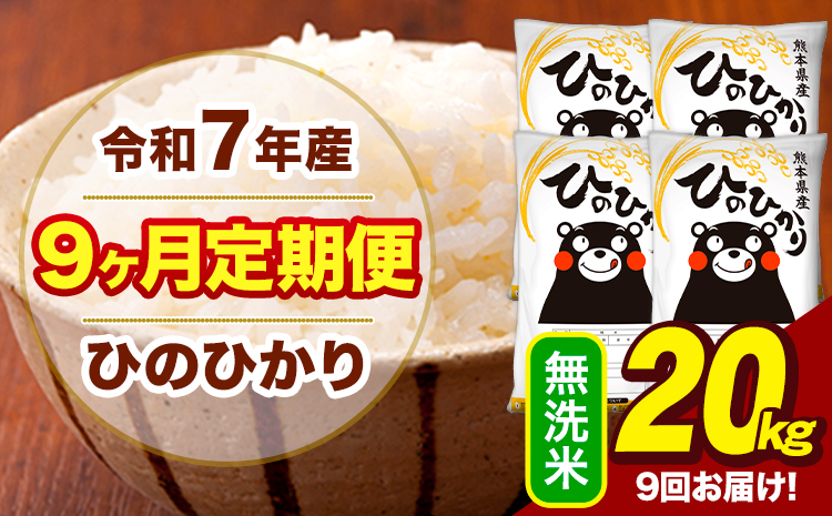 令和7年産 無洗米 【9ヶ月定期便】 ひのひかり 20kg《お申込み翌月から出荷》熊本県 大津町 国産 熊本県産 ヒノヒカリ こめ お米---hn7tei_436500_20kg_mo9_oz_m---