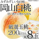 【ふるさと納税】桃 2024年 先行予約 岡山の白桃 200g以上×8玉 白桃 旬 みずみずしい 晴れの国 おかやま 岡山県産 フルーツ王国 果物王国　【 果物 果実 デザート 食後 産地直送 甘い 果汁 岡山の桃 】　お届け：2024年7月上旬～2024年7月下旬