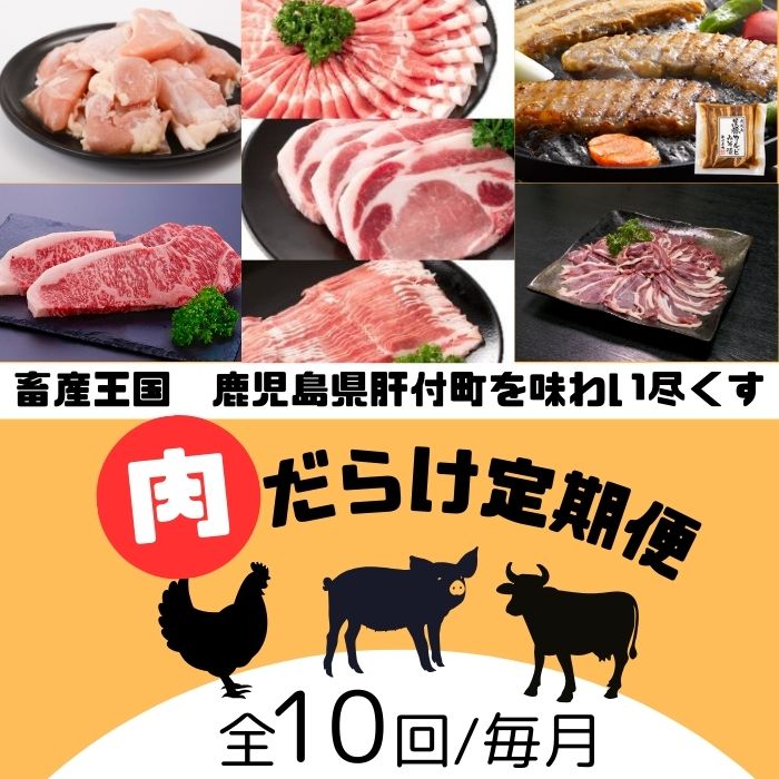 【F90001】＜定期便・全10回＞肝付町セレクト定期便《肉だらけ定期便C》