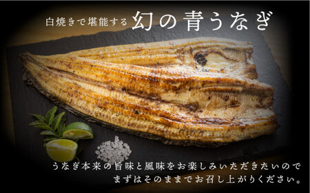 厳選 高級 青手うなぎ 白焼 3本セット うなぎ ウナギ 鰻 蒲焼き 土用丑の日 グルメ ギフト プレゼント 男性 女性 お取り寄せ 田原市 送料無料