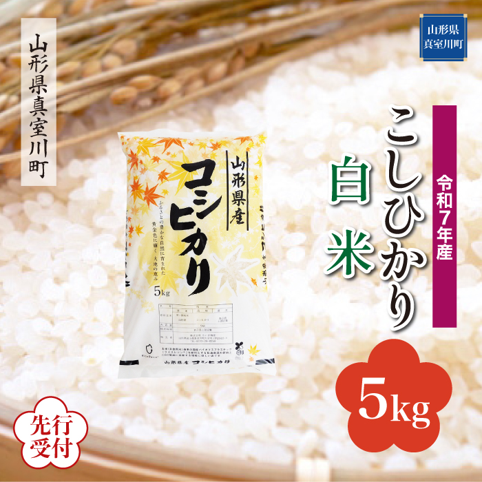 ＜令和7年産米先行受付＞ 真室川町産 こしひかり 【白米】 5kg （5kg×1袋） 配送時期指定できます！
