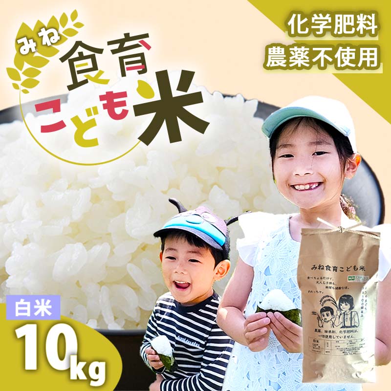 【ふるさと納税】令和7年産 新米 みね食育こども米 白米 10kg 先行予約 ＜ 9月中旬以降 発送予定 ＞ | 山口県 山口 美祢 楽天ふるさと ふるさと 納税 楽天ふるさとの納税 支援品 返礼品 支援 返礼 米 国産 白米 食育 農薬不使用 健康 有機 ご当地 お土産 名産品 特産品 土産