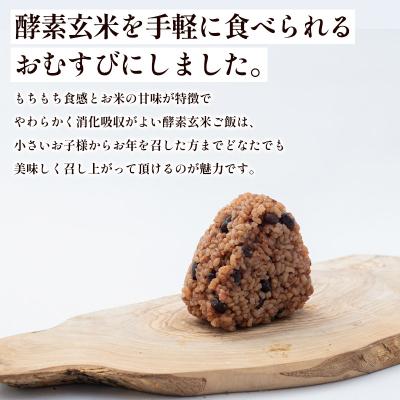 ふるさと納税 山形市 冷凍 酵素玄米おむすび(つや姫) 10個セット FY25-270 |  | 01