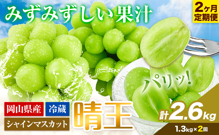 ぶどう 2ヶ月 定期便 [2025年先行予約] シャインマスカット 晴王 約1.3kg 岡山県産《9月上旬-10月末頃出荷(土日祝除く)》 ハレノフルーツ マスカット 送料無料 岡山県 浅口市 フルーツ 果物 贈り物 ギフト 国産 岡山県産 くだもの【配送不可地域あり】（北海道・沖縄・離島）