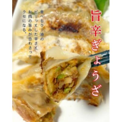 ふるさと納税 大垣市 生ぎょうざ専門店「新家」 生餃子 4種 食べ比べセット 計65個 |  | 01
