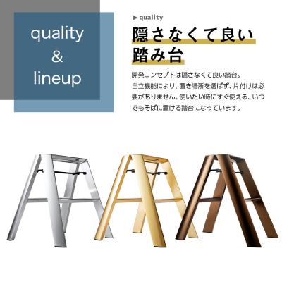 ふるさと納税 千代田町 デザイン 踏台 【ルカーノ】2ステップ ML2.0-2J(SI)シルバー　ch012-004s |  | 01
