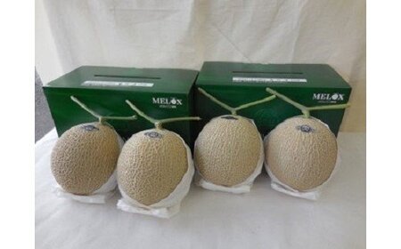 【通年出荷】高級温室 静岡県産 アローマメロン 4玉 化粧箱入り