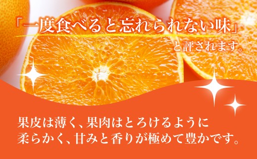 【先行受付】せとか　レギュラー箱　5kg　愛媛県JAおちいまばり【配送不可地域：離島】