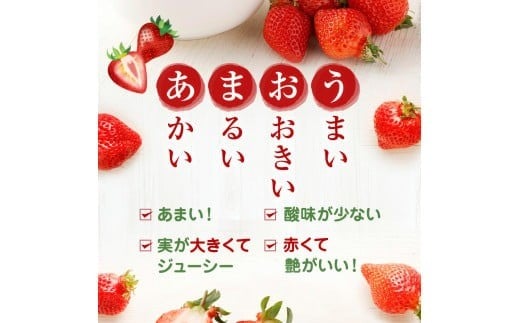 大粒セレクト！大人気のあまおう 約280g×4パック【2024年2月上旬～3月中旬お届け】福岡県産ブランドいちご _KA0275