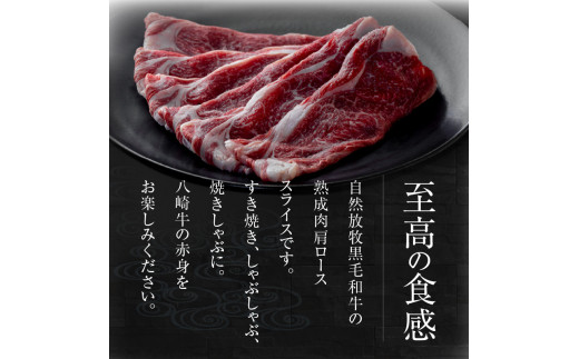 八崎牛の熟成ローススライス　約250g×1　N0105-B069