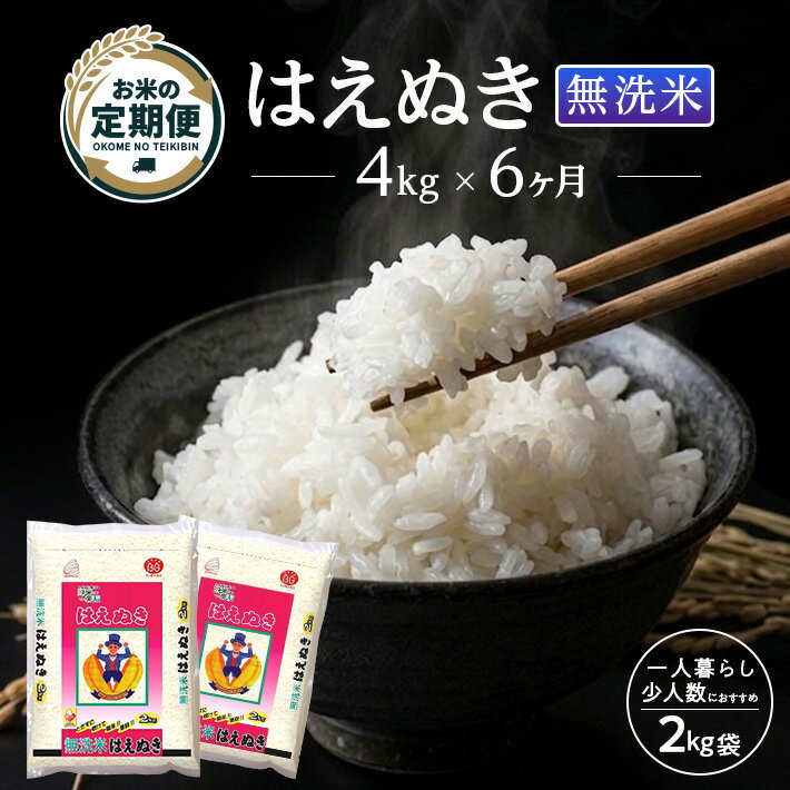【ふるさと納税】≪6ヶ月定期便≫ 無洗米 はえぬき 4kg×6ヶ月連続 計24kg 山形県庄内産 毎月下旬にお届け 東北 山形県 遊佐町 庄内地方 庄内平野 庄内米 精米 白米 米 お米 ブランド米 ごはん ご飯 連続定期便 6回連続 小分け