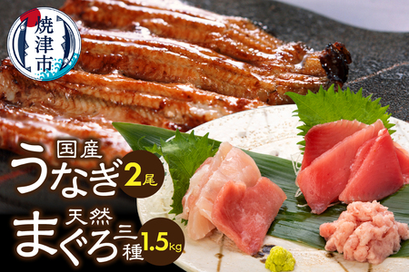 a35-017　家計応援　国産 うなぎ 鰻　バチマグロ ビンチョウマグロ まぐろ たたき　総重量約1.9kg