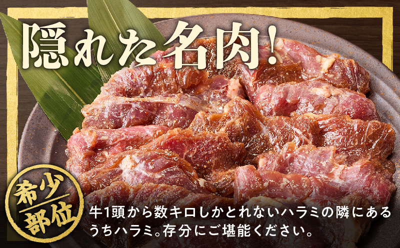 【希少部位】牛肉 うちハラミ 1.2kg 小分け 400g×3P【スピード発送 氷温熟成×特製ダレ 味付き 牛肉 訳あり 不揃い 焼肉 BBQ 野菜炒め 大阪 泉佐野 大阪府 泉佐野市】