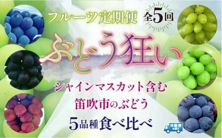 ＜25年発送先行予約＞ぶどう狂い　定期便　シャインマスカット含む5種食べ比べ　105-005