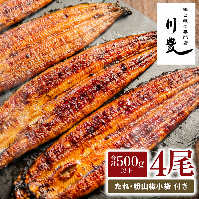 【ふるさと納税】【土用の丑の日特集】＜国産＞ 昭和56年創業 うなぎの川豊 有頭 蒲焼き 4尾 セット(約125g〜150g×4尾)たれ・山椒付き！鹿児島 鹿屋市 鰻 ウナギ 蒲焼 冷凍 急速冷凍 湯煎 簡単調理 鰻丼 鰻重 ひつまぶし 土用の丑【有限会社 MNB】