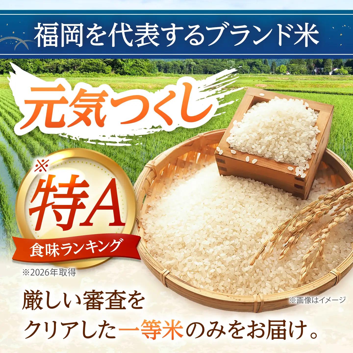 【先行予約】【令和7年産】元気つくし無洗米10kg(5kg×2袋)[BGAA093] 元気つくし