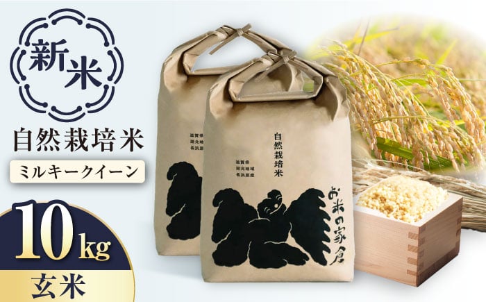 
            【令和6年度産 新米】自然栽培 ミルキークイーン 5kg 玄米 ×2袋　滋賀県長浜市/株式会社お米の家倉 [AQCP005] 米 お米 玄米 新米 10kg 
          